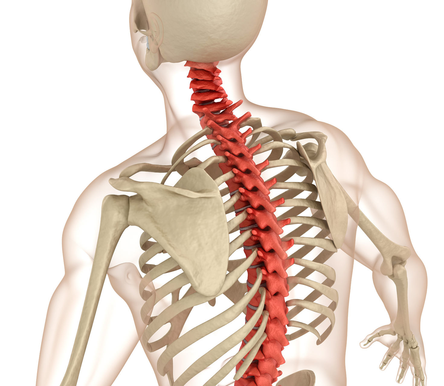 Back pain – Haddenham Osteopaths | Osteopathy for all